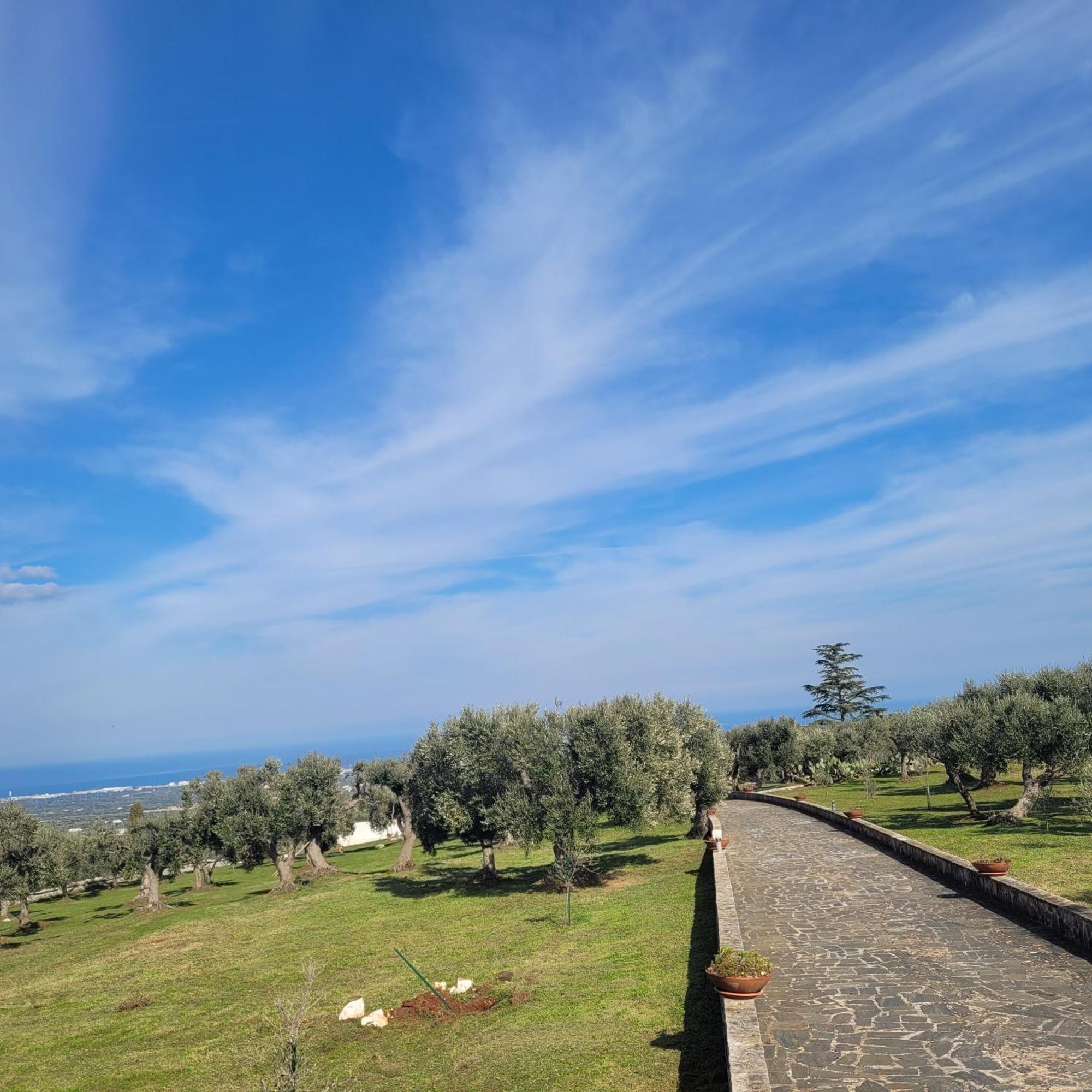 Terracielomare Apartments Monopoli Bagian luar foto