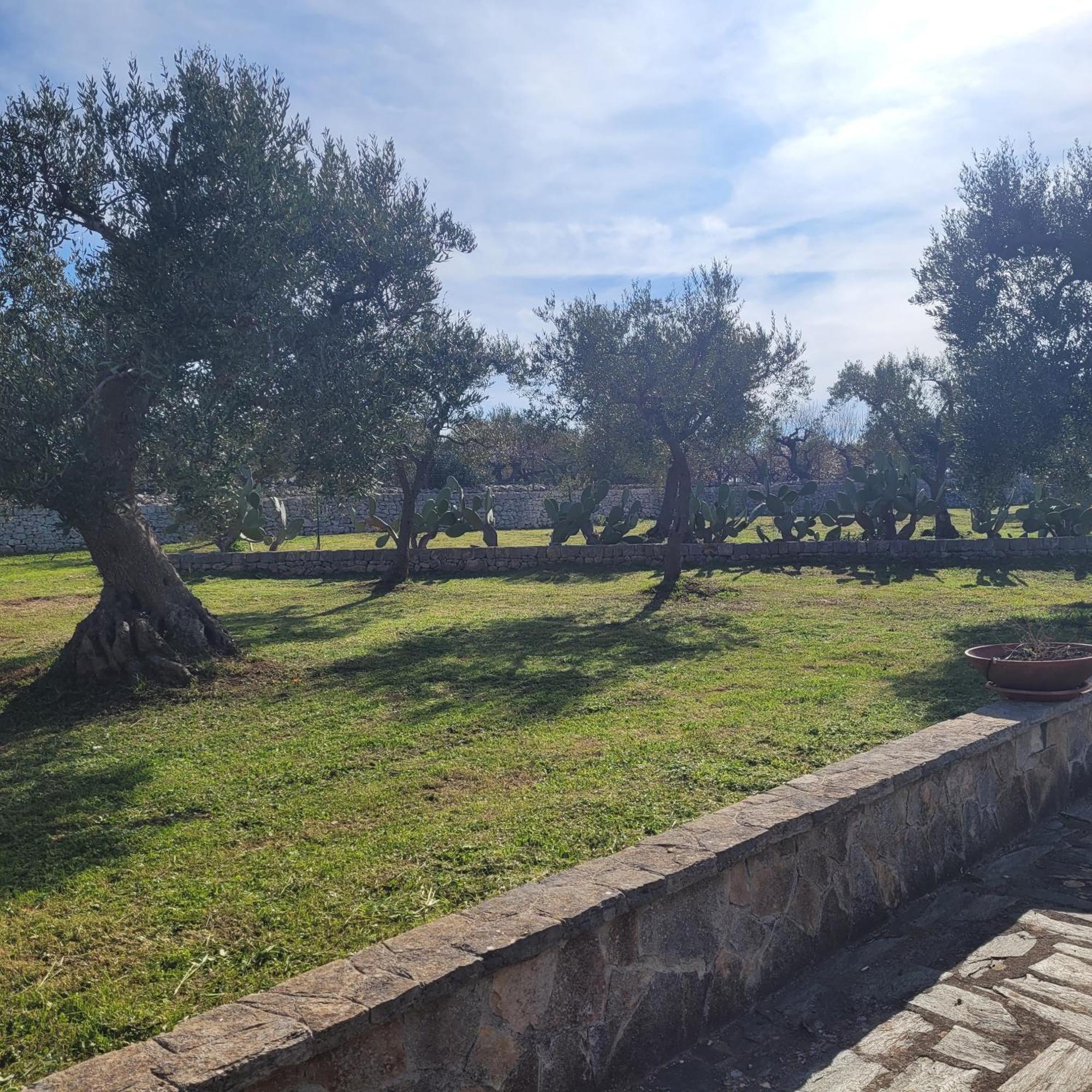 Terracielomare Apartments Monopoli Bagian luar foto