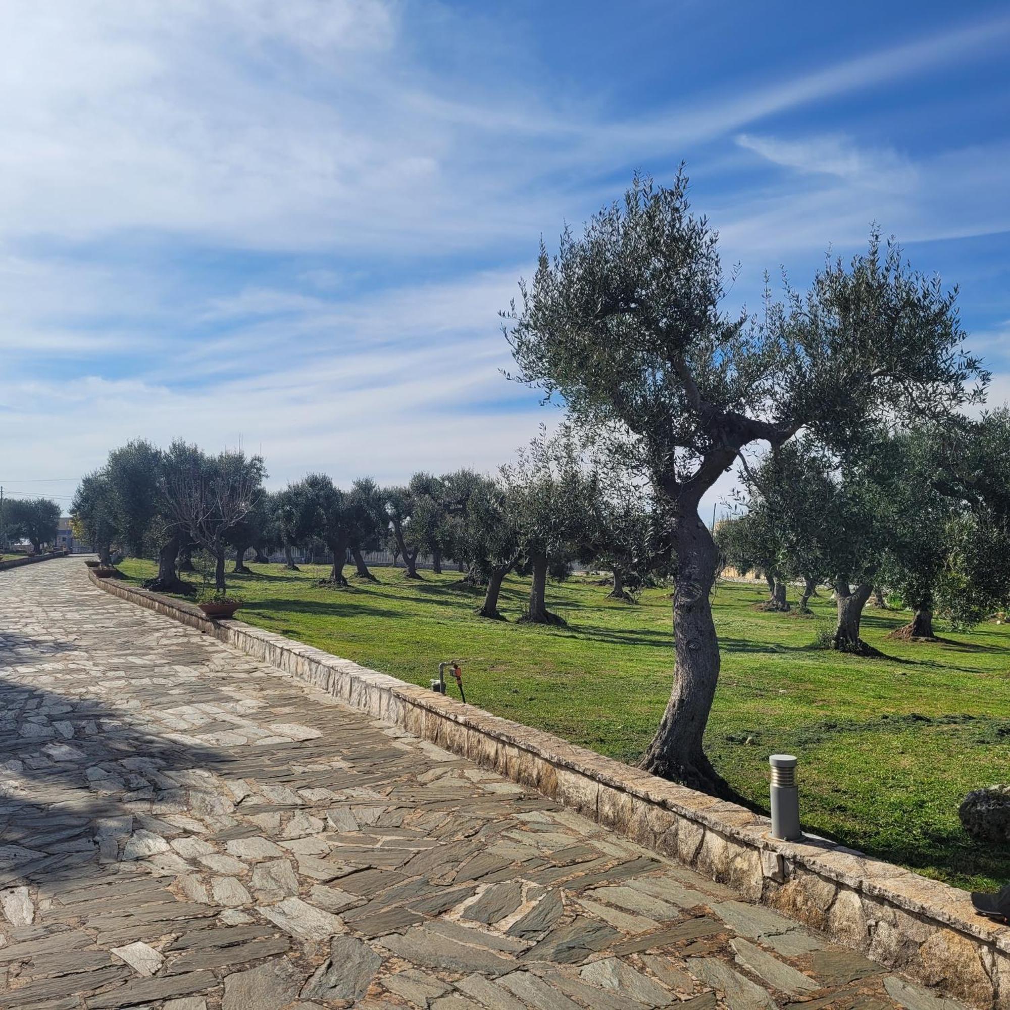 Terracielomare Apartments Monopoli Bagian luar foto