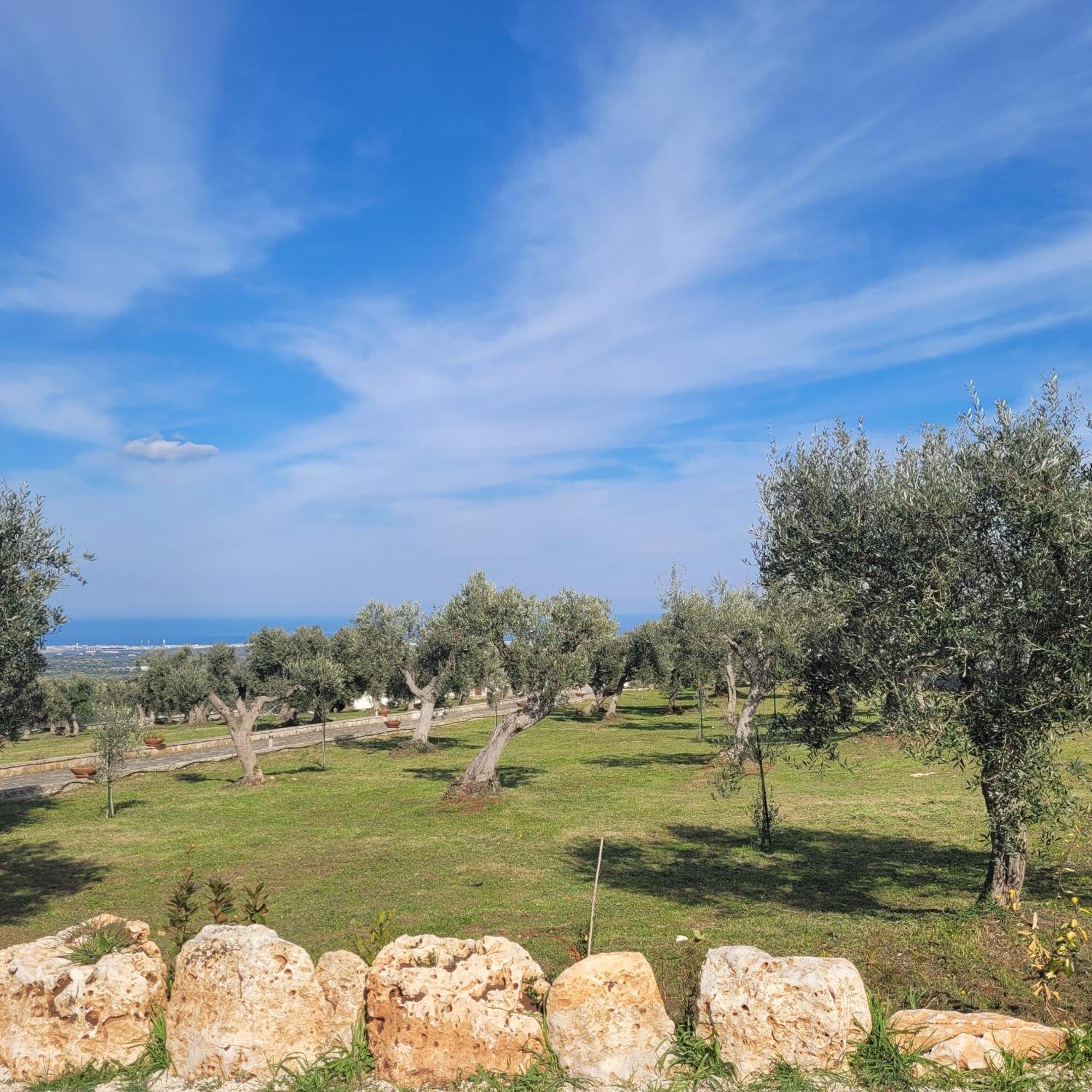 Terracielomare Apartments Monopoli Bagian luar foto
